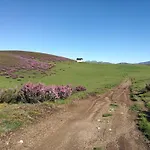 La Cochorla