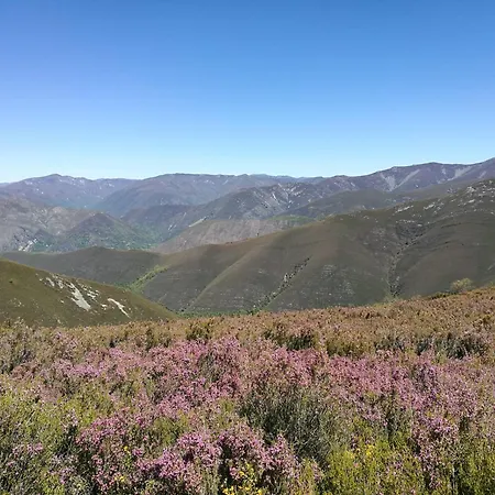 La Cochorla Casa de Campo