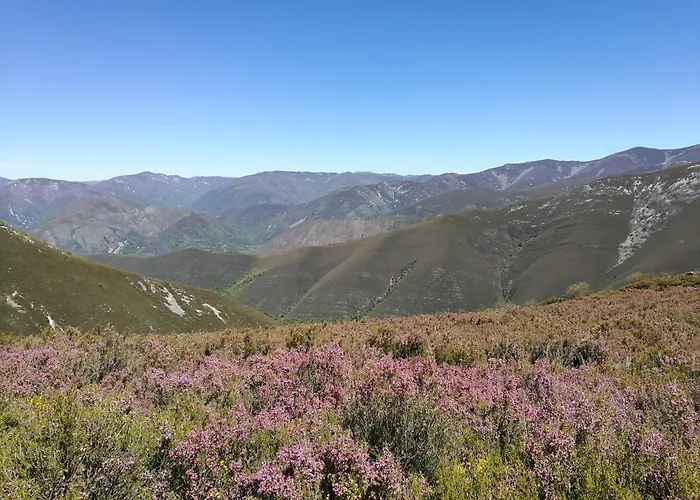 La Cochorla 乡村民宿